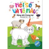 Nối Số Và Tô Màu (Cuốn lẻ và Combo)