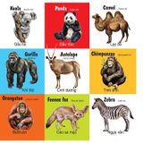 First 100 animals - 100 Từ đầu tiên về các loài động vật