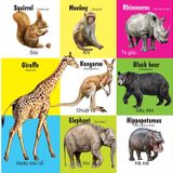First 100 animals - 100 Từ đầu tiên về các loài động vật