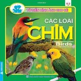 Từ Điển Hình Ảnh Cho Bé (Cuốn Lẻ)