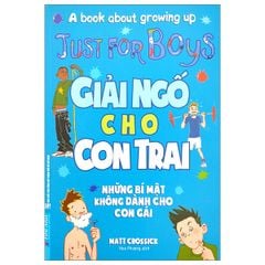 Giải Ngố Cho Con Trai (Bìa Mềm)