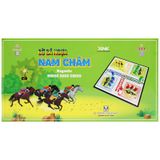 Bàn Cờ Cá Ngựa Lớn Nam Châm TCNNCCCL