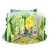 A Year in Nature: A Carousel Book of the Seasons (Pop-Up)