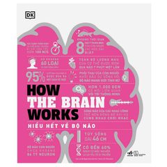 How the brain works - Hiểu hết về não bộ