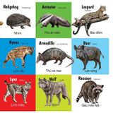 First 100 animals - 100 Từ đầu tiên về các loài động vật