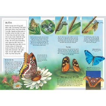 Tủ Sách Tri Thức Bách Khoa Bằng Hình - Thế Giới Động Vật (Tái Bản 2018)