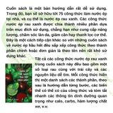 Nước ép tươi xanh thải độc chữa lành