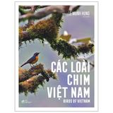 Các Loài Chim Việt Nam