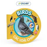 Combo 10 cuốn Từ điển bằng hình cho bé (Song ngữ Anh - Việt) - Bộ mới 2023