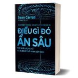 Điều Gì Đó Ẩn Sâu - Thế Giới Lượng Tử Và Không-Thời Gian Đột Sinh