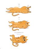 Ehon Song Ngữ - The King Cat - Vua Mèo (Từ 3 - 6 Tuổi)