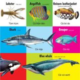 First 100 animals - 100 Từ đầu tiên về các loài động vật