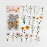 Bộ 40 sticker hình dán trang trí - Nature series