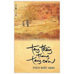 Tay Thầy Trong Tay Con (Tái Bản 2019)