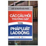 Các Câu Hỏi Thường Gặp Trong Pháp Luật Lao Động (Tái Bản 2021)