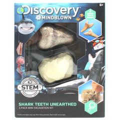 Bộ khảo cổ truy tìm răng cá mập 2pc-1423004791