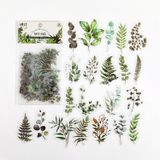 Bộ 40 sticker hình dán trang trí - Nature series