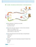 Mindmap English Grammar - Ngữ Pháp Tiếng Anh Bằng Sơ Đồ Tư Duy