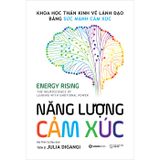 Năng lượng cảm xúc - Khoa học thần kinh về lãnh đạo bằng sức mạnh cảm xúc