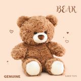 Gấu bông Teddy bear