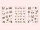 Sticker hình dán trang trí - Mặt mèo