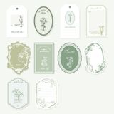 Giấy trang trí Journal DIY - Rừng bốn mùa