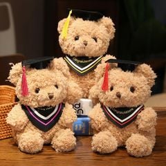 Gấu bông - Tốt nghiệp