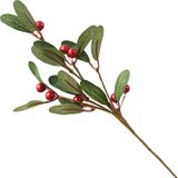 Cành quả đỏ trang trí giáng sinh