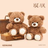 Gấu bông Teddy bear