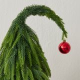 Cây thông trang trí