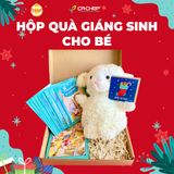 Hộp quà giáng sinh cho bé (Tặng kèm 1 thiệp giáng sinh đáng yêu và 1 quyển Thế giới hình ảnh cho bé)