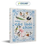 Combo 2 cuốn: Atlas động vật + Atlas các loài chim - Tặng 1 cuốn Vì sao? Như thế nào (Sinh thái hoặc Năng lượng)