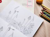Trong Đầm Gì Đẹp Bằng Sen - Sách Tô Màu