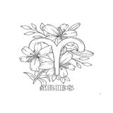 Tô màu - Bí mật 12 cung hoàng đạo