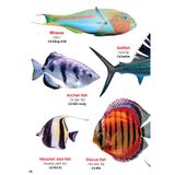 My First Book Of Animals - Động vật dưới nước