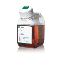 Gibco™ Fetal Bovine Serum, certified, heat inactivated, United States, 10082147