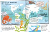 Curious Questions & Answers About Our Oceans