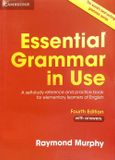 Essential grammar in use (4th edition)
