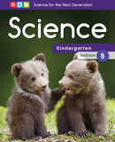 Science Kidergaten - Textbook B