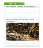 Science Kidergaten - Activity Book B