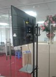  Giá Treo Tivi di động 32 - 70 Inch 