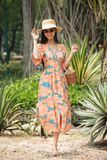  Haisley Dress - Đầm cổ V tay phồng  - D662 