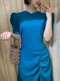  Megan Dress - Đầm công sở cổ V tay phồng - D750 
