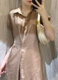  Taylor Dress - Áo Đầm sơ mi tơ tằm - D945 