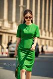  Ariella Dress - Đầm bút chì , đính cúc  D569 