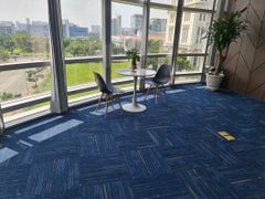 Thảm Tấm Cao Cấp Thảm New Mexico