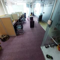 Quận 3 - Thảm NWS 9397 tím - Thảm văn phòng