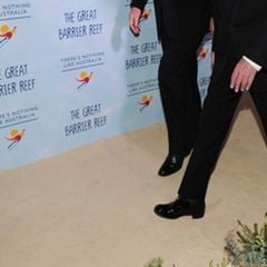 Thảm Nỉ Sự Kiện Màu Kem Nhạt P 702