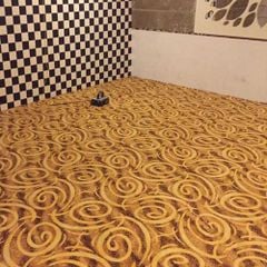 Thảm Trải Sàn Hoa Văn Kem Vàng Wilton Sa 217