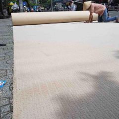 Thảm Sợi Nylon Chống Cháy Rendevous ( Rdv )